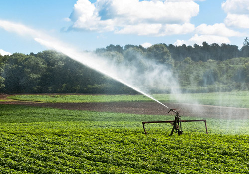 Forage eau arrosage agricole